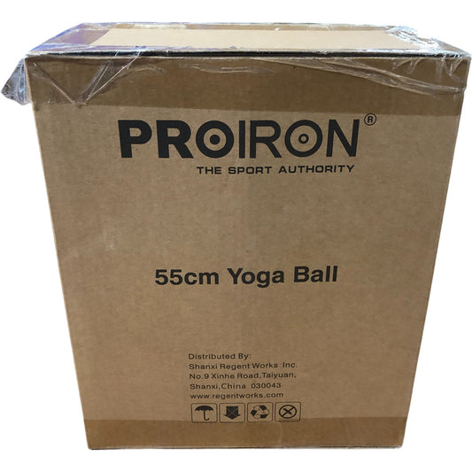 ProIron 55cm Yoga Ball Silver PRO YJ01 20 Exercise Stability Inflatable