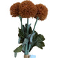 Dried Flowers Bouquet Orange Pom Poms with Green Leaves Home Decor