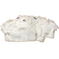 Women's White Short Sleeve Lace Blouse Size 14 Pack of 5