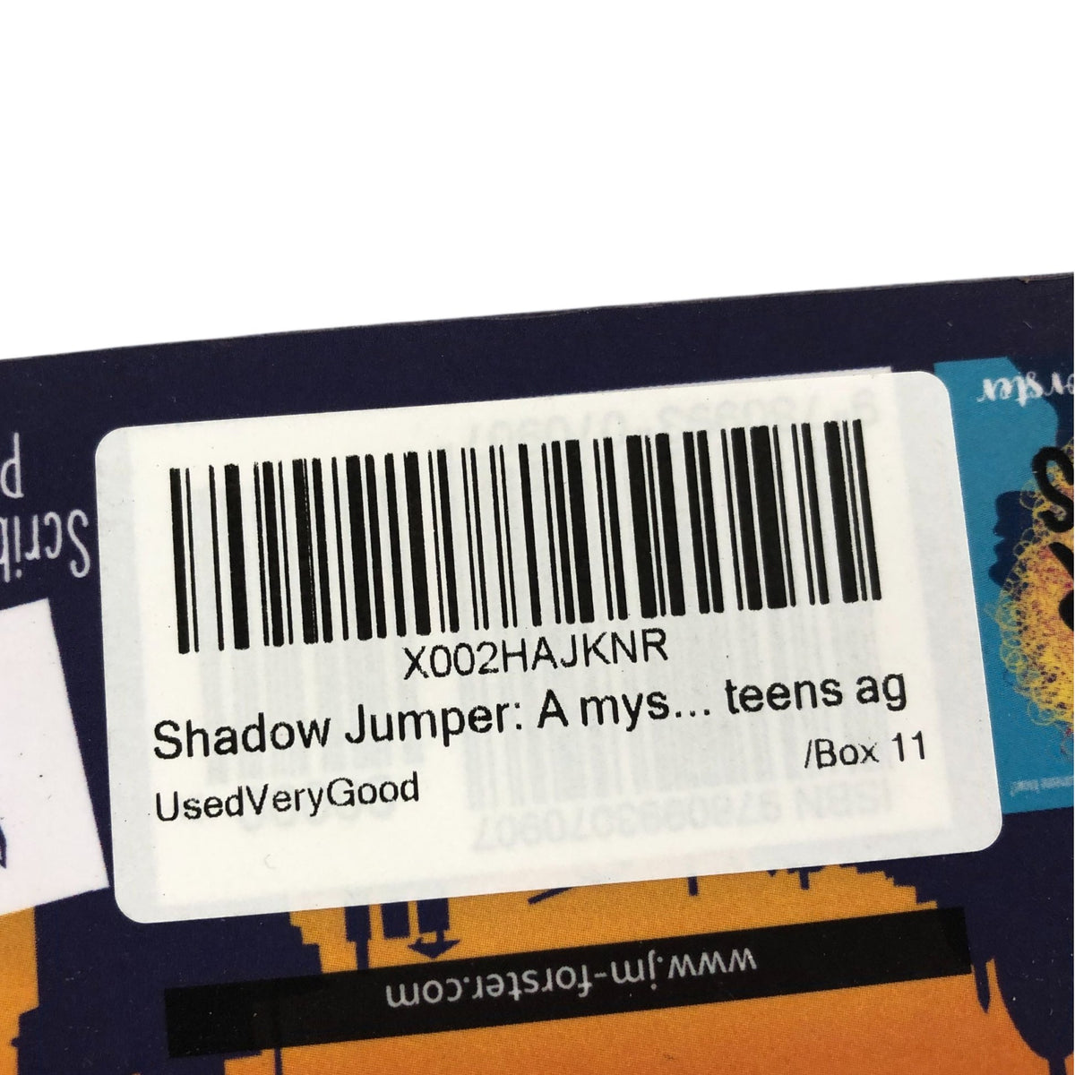 Shadow Jumper J.M. Forster Book Adventure Mystery Teens Age 9 Plus