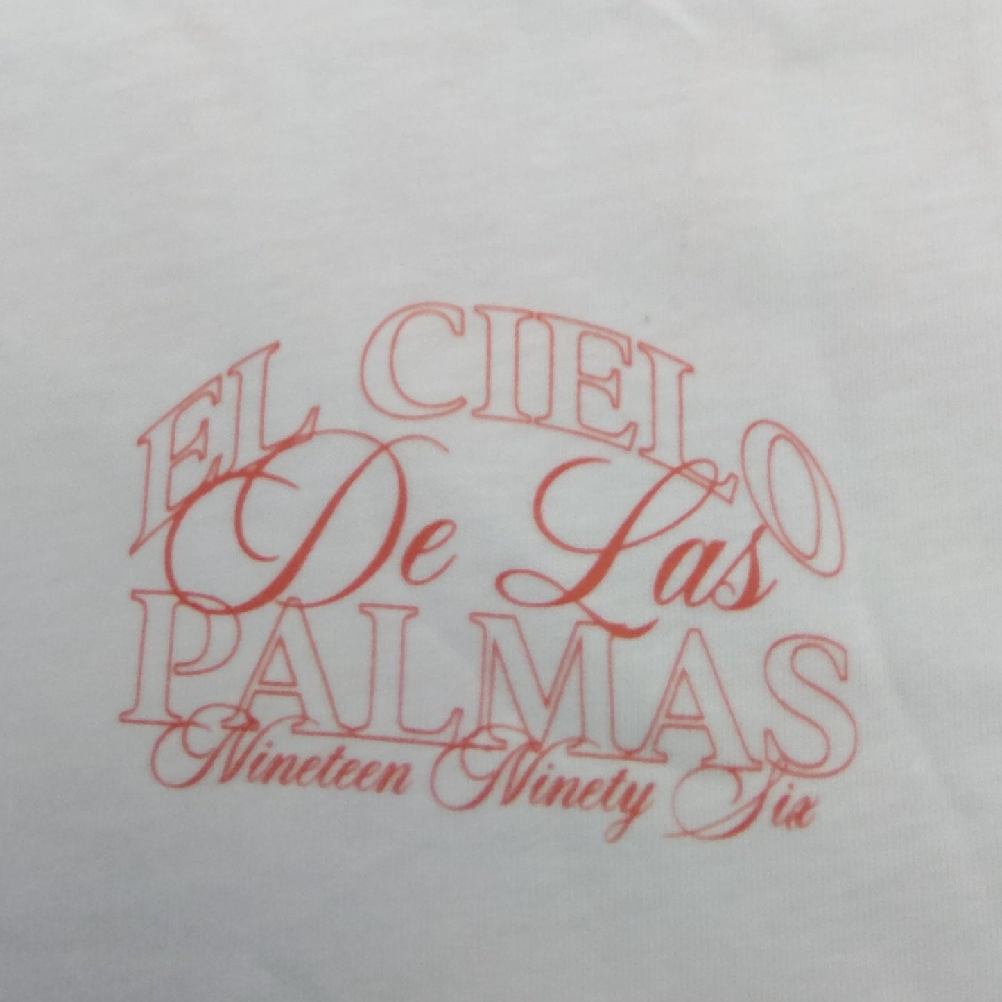 River Island El Cielo De Las Palmas T-Shirt XL Men's Regular Fit White