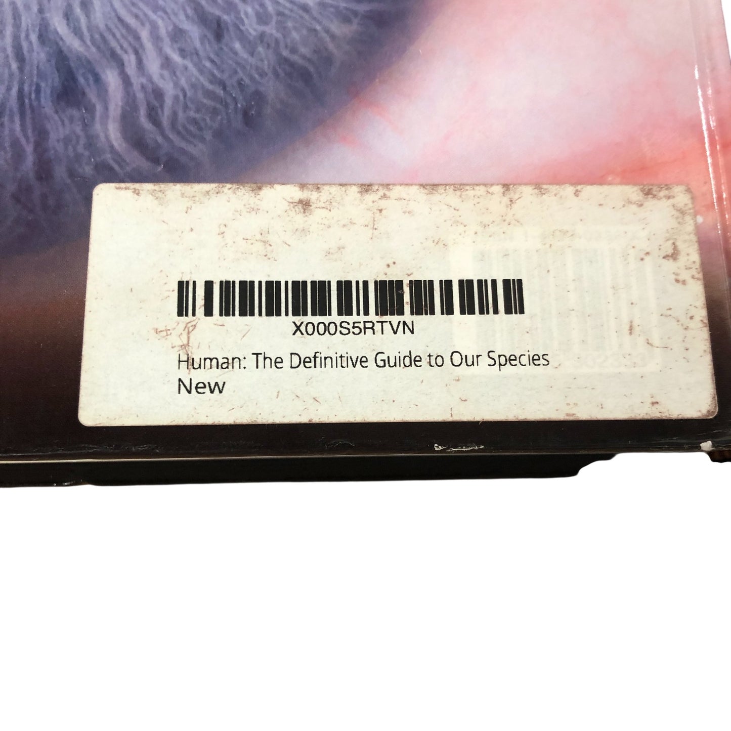 DK Human The Definitive Visual Guide by Robert Winston New Condition