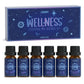 Salubrito Wellness Essential Oil Blends Set 6x10ml Aromatherapy Gift Set