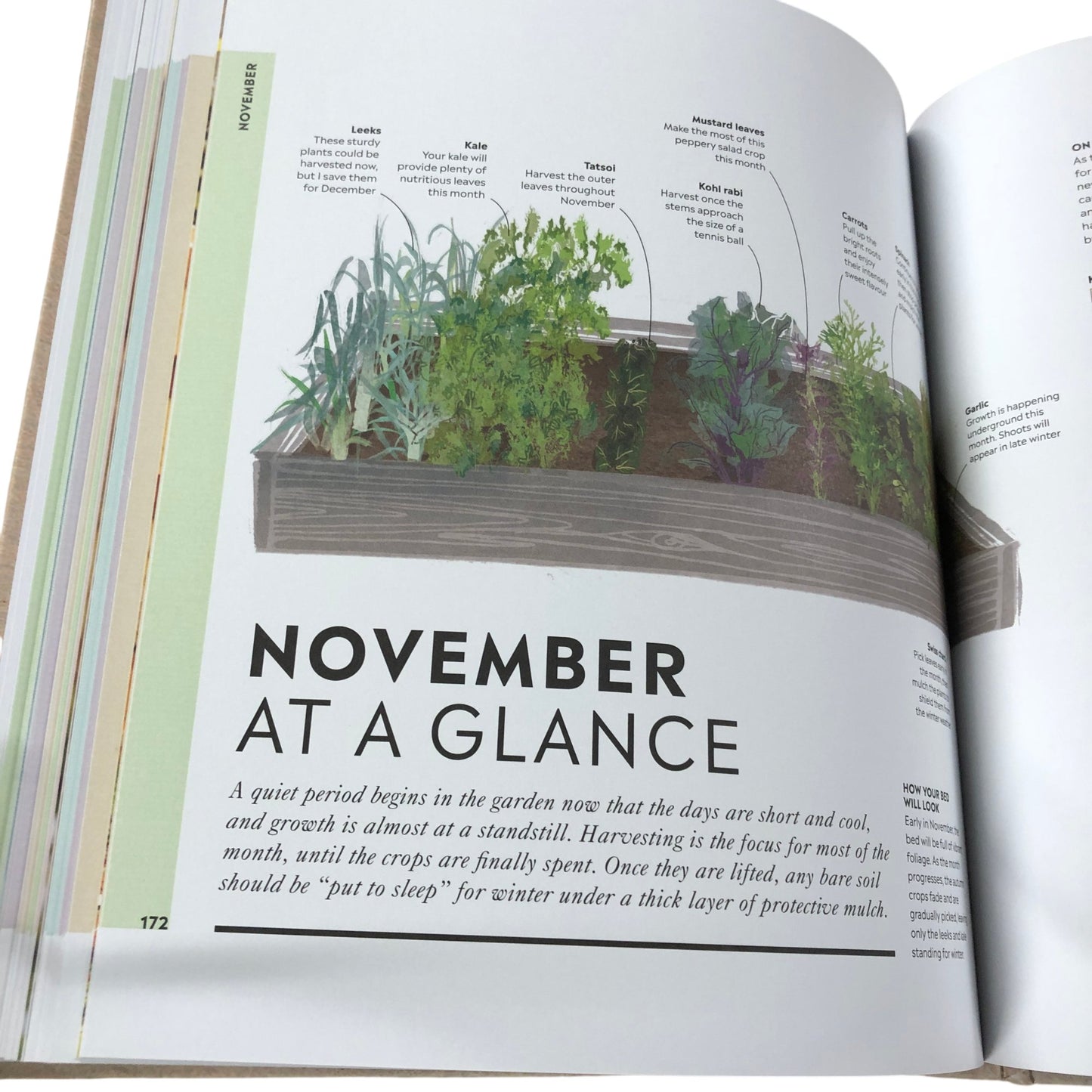 Veg In One Bed Huw Richards Gardening Book How To Grow Vegetables Month By Month