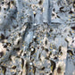 River Island Floral Print Blouse Size 12 Women's Lightweight Blue Long Sleeve