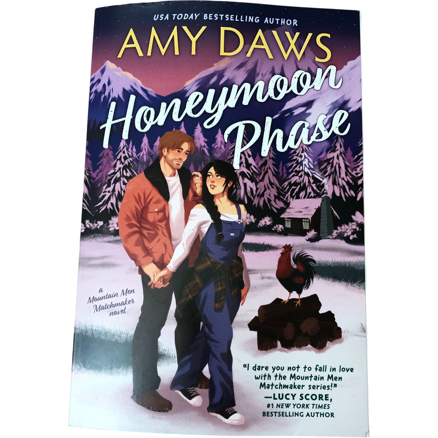 Honeymoon Phase Amy Daws Paperback Novel Contemporary Romance