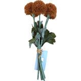 Dried Flowers Bouquet Orange Pom Poms with Green Leaves Home Decor